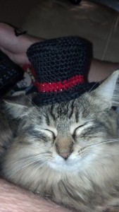 IMG_20131115_195310_916